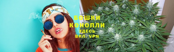 ешки Карпинск