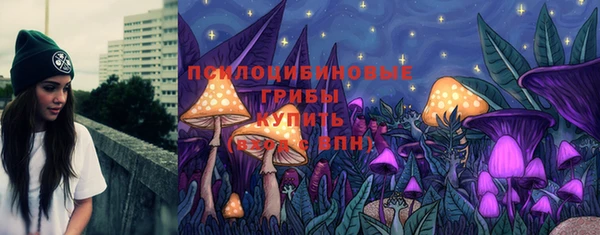 ешки Карпинск