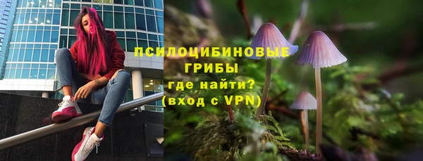 герыч Касимов