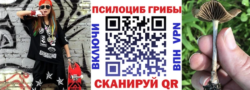 Купить где  Гаврилов-Ям  Псилоцибиновые грибы мицелий 