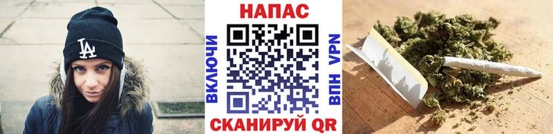 Купить Гаврилов-Ям Канабис OG Kush